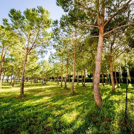 Agriturismo Bio San Mamiliano Grosseto Extérieur photo