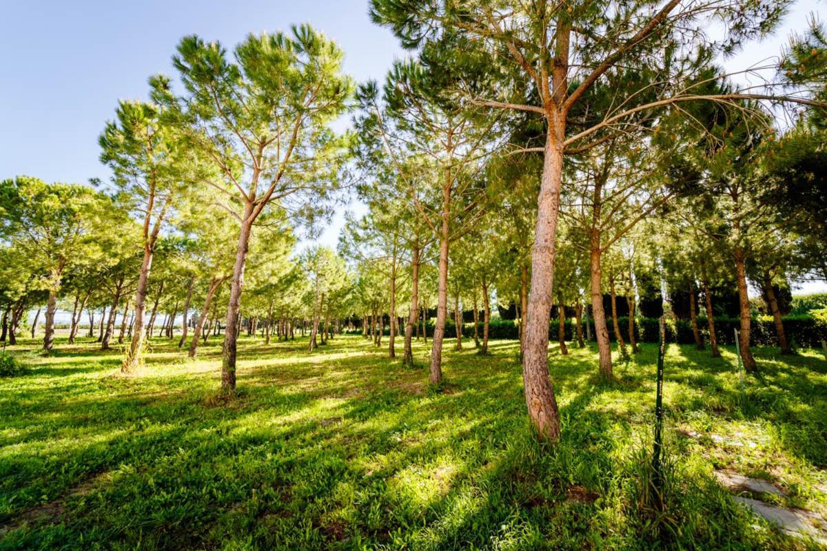 Agriturismo Bio San Mamiliano Grosseto Extérieur photo